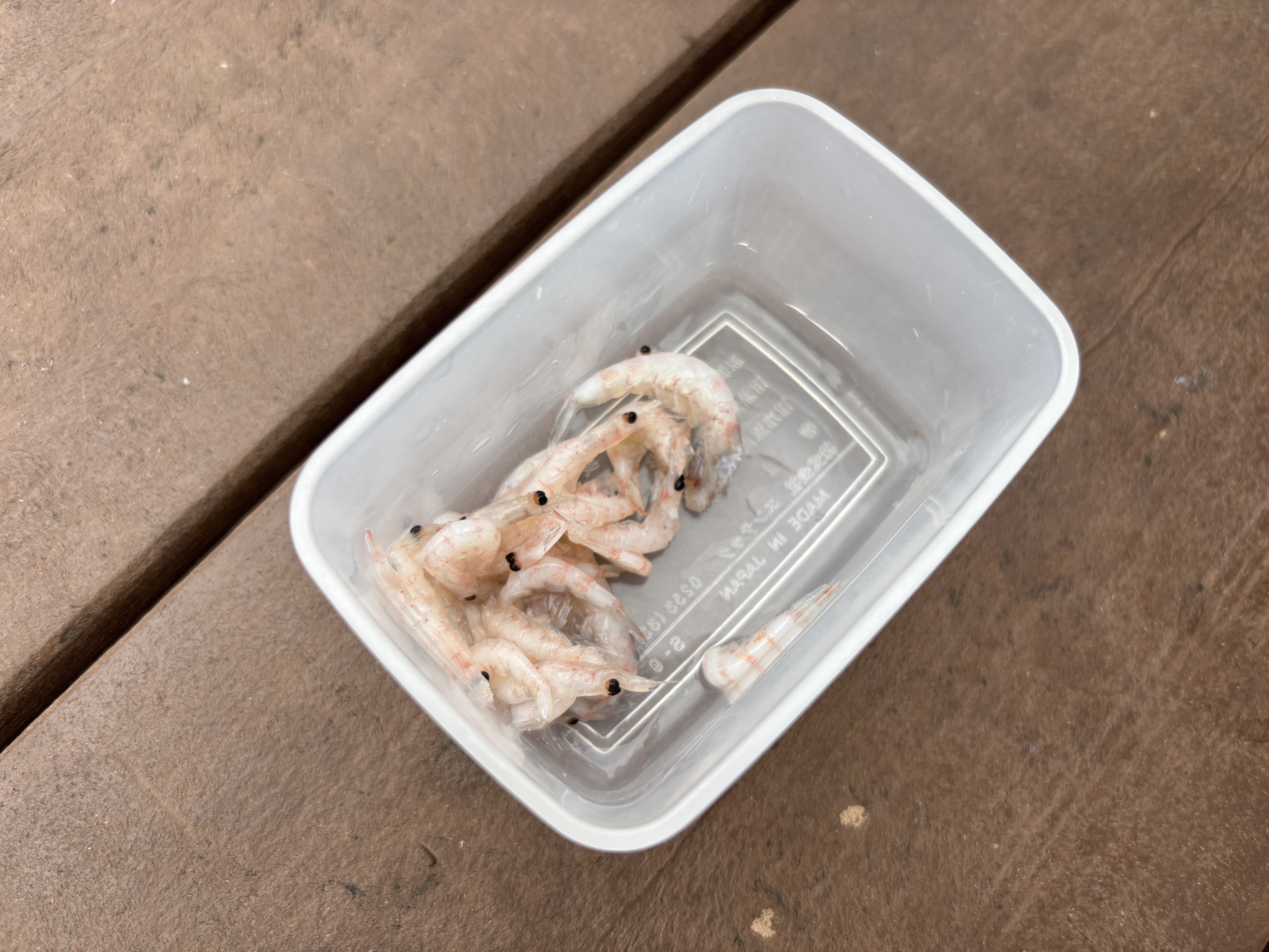 オキアミ臭対策！釣り後の手の臭いを取る方法